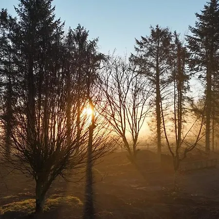 アパート Neue Welt 1